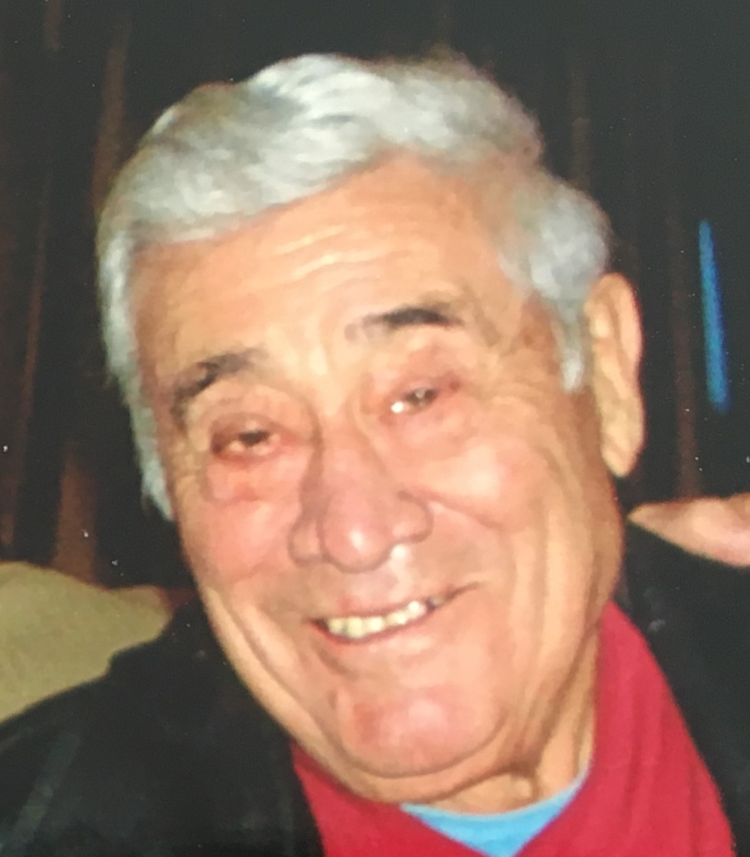 Luigi J. Cerundolo, 82, 